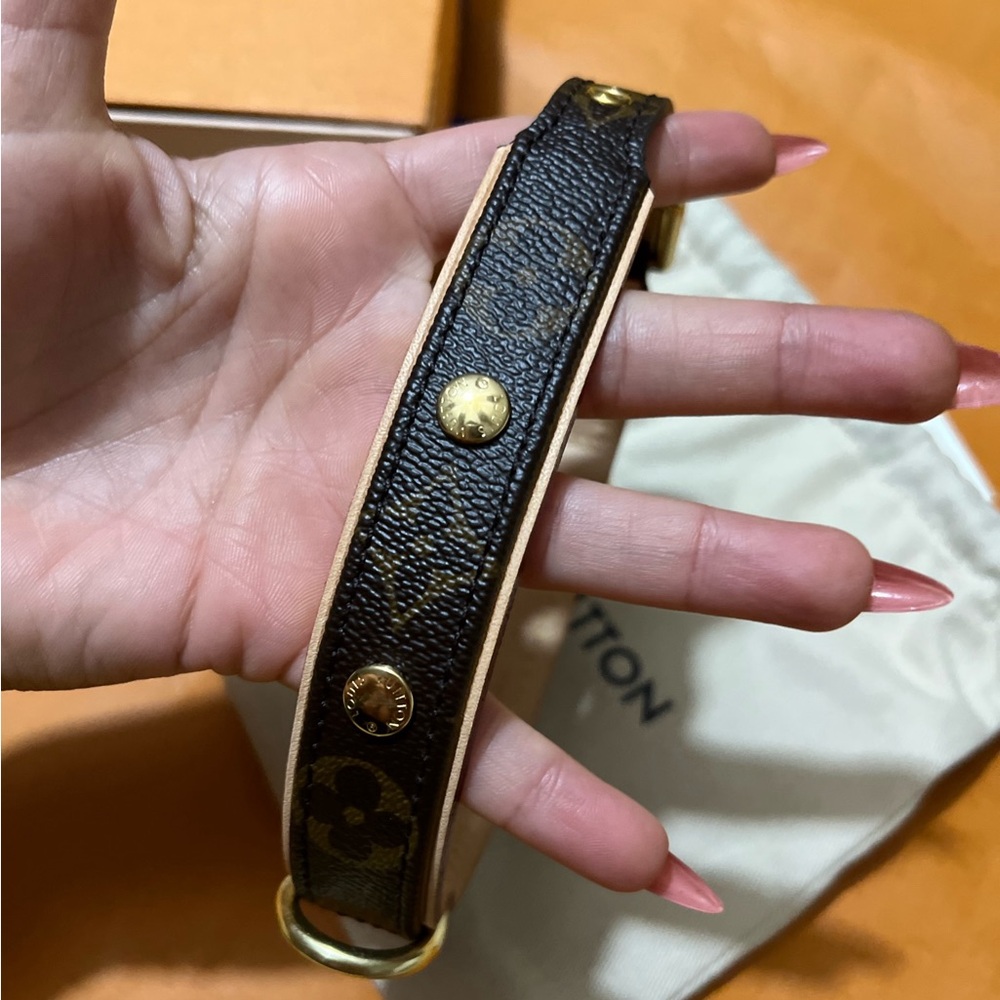 Authentic Louis Vuttion Baxter Collar - Picture 3 of 10